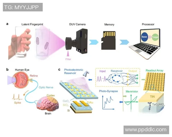 豪门国际存算融合架构的创新发展与应用前景探讨