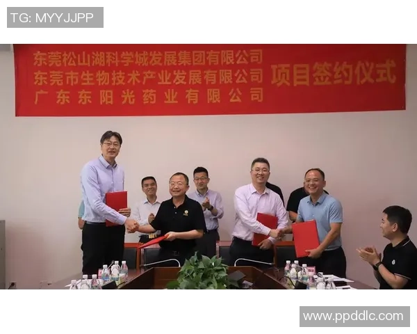 红桃国际持续学习平台助力个人成长与职业发展新机遇