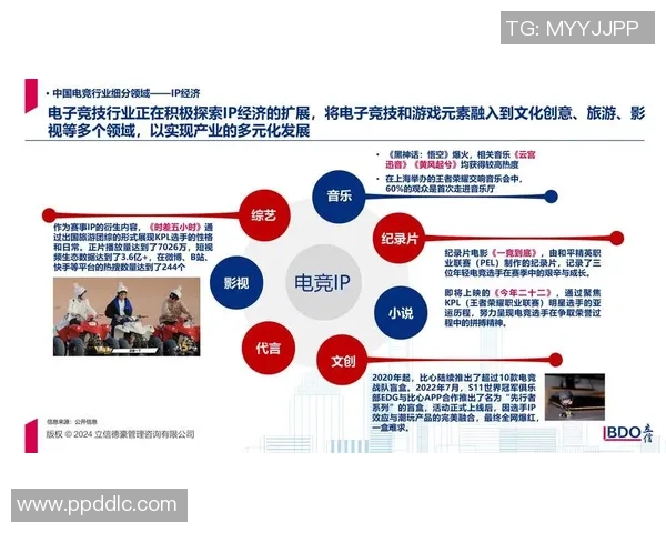 全球电竞组织构想:推动电竞行业统一管理与发展新模式